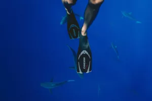 Read more about the article Overcoming Fear Of Sharks On A Cage-Free Dive