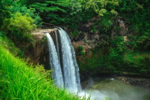 Read more about the article Waimea Falls Complete Visitors Guide