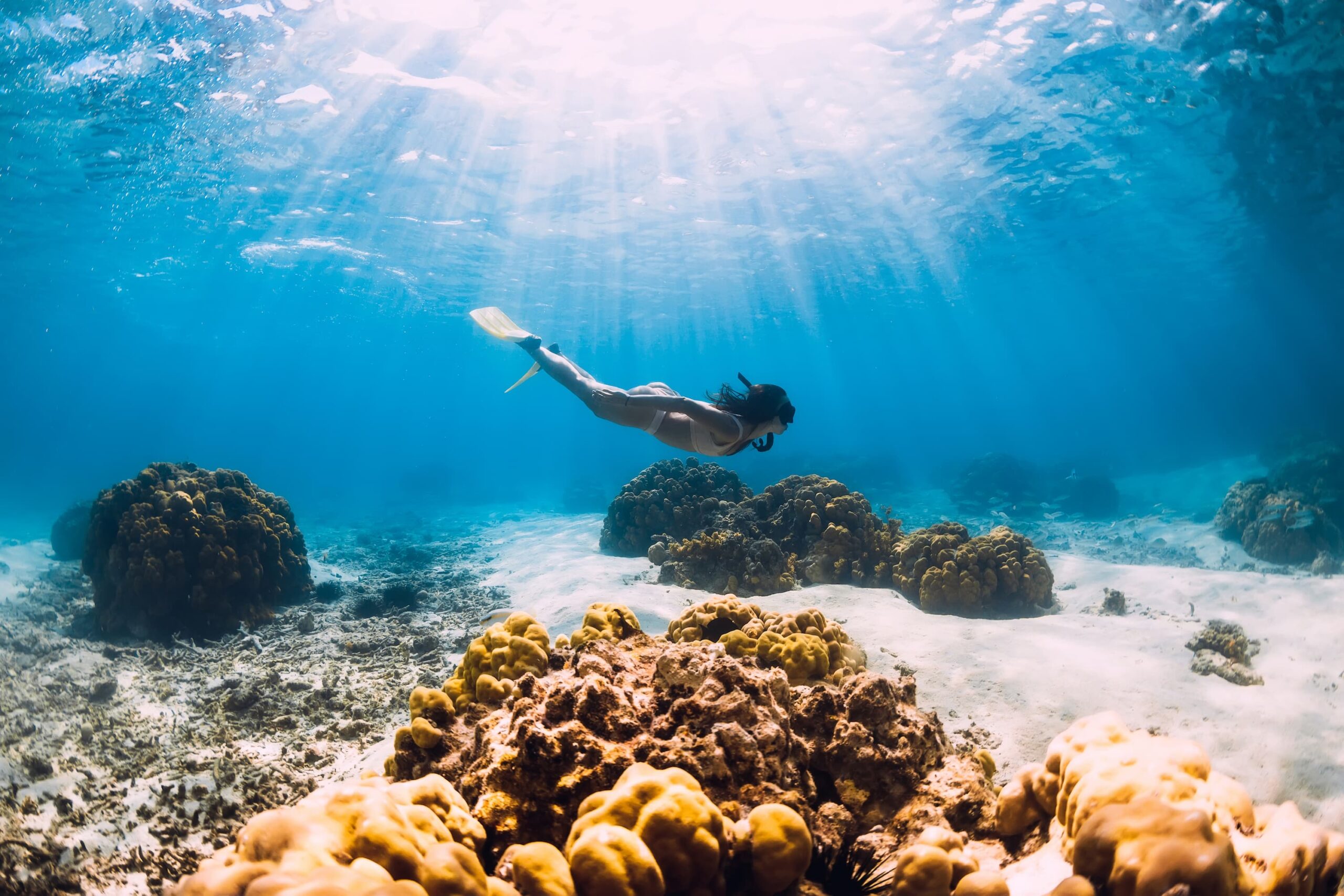 Read more about the article Beginner’s Guide to Snorkeling In Hawaii