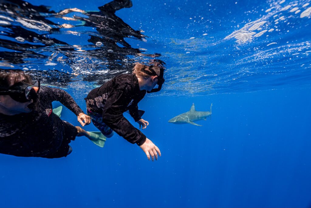 Ocean Outfitters Hawaii Photography Package