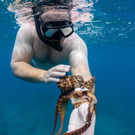 Person in scuba gear underwater holding an octopus.