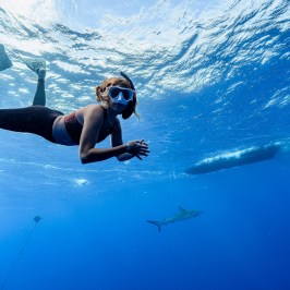Person snorkeling underwater with a shark in the distance, sunlight filtering through the water surface.