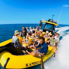 Group of people on a yellow speedboat cruising on the ocean.