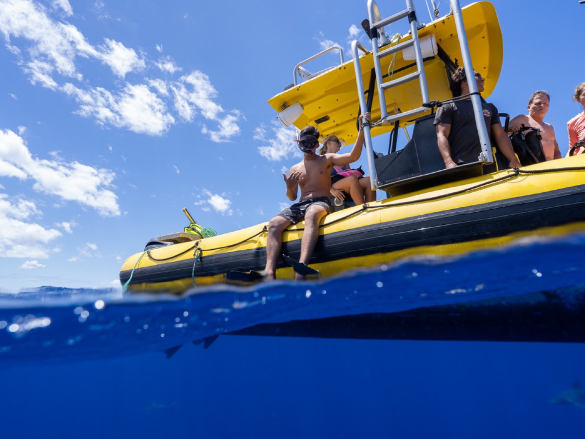 People preparing to dive from a boat under a sunny sky.