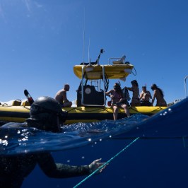 Divers on a yellow boat, one diver underwater, clear blue sky.