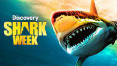 A shark swimming with 'Discovery Shark Week' text on top left.