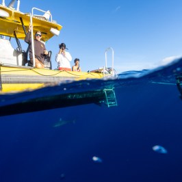Boat with scuba divers above and underwater, clear blue sky and sea.