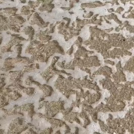 Close-up of seawater foam over wet sand on a beach.