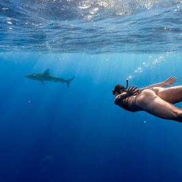 Person swimming underwater near a shark in clear blue ocean.