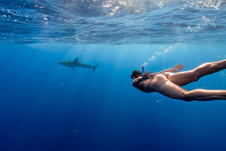 Person swimming underwater near a shark in clear blue ocean.
