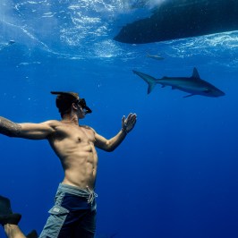 Underwater diver near a shark in clear blue water.
