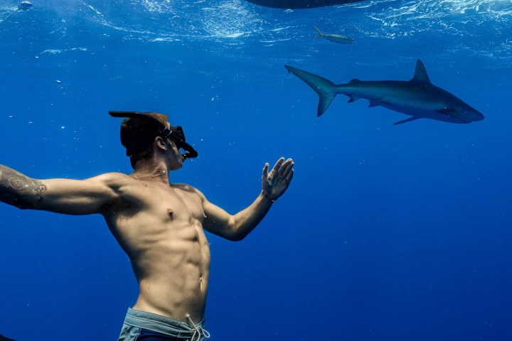 Underwater diver near a shark in clear blue water.