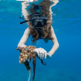 Person snorkeling underwater while holding a small octopus.