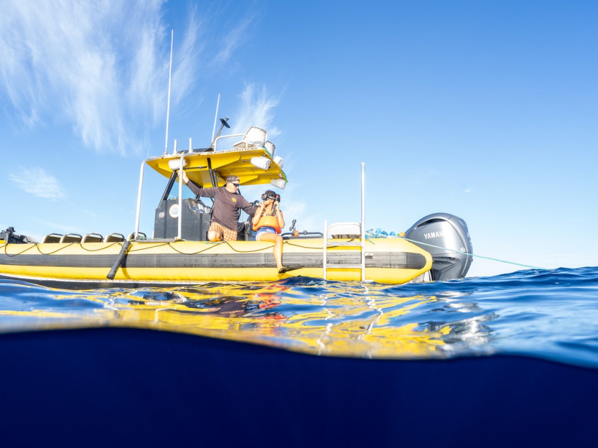 Yellow boat floating on blue water under clear sky, people onboard.
