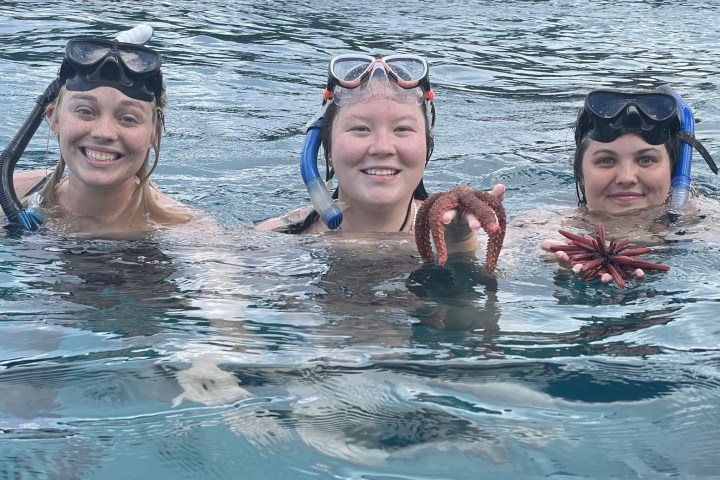 Three snorkelers in water with sea creatures, smiling and holding starfish.